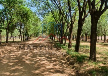 Venta Lote en Los Fresnos, Virrey del Pino, La Matanza